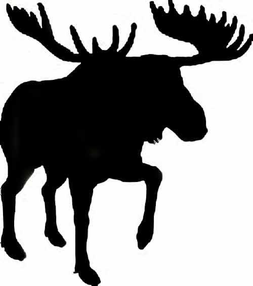 Moose Pictures and Silhouettes . . . Monarch of the Forest