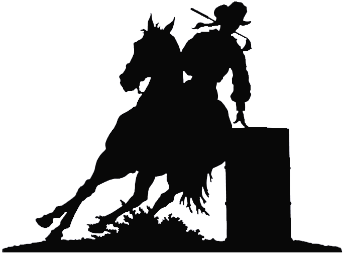 Western Home Decor Western Home Decor