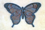 Water Jet Butterfly