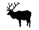 Elk Pictures