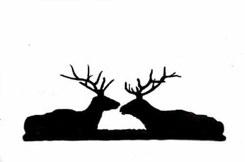 Elk Pictures