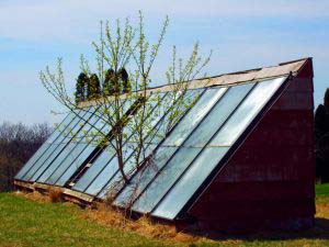 Solar Water Heater